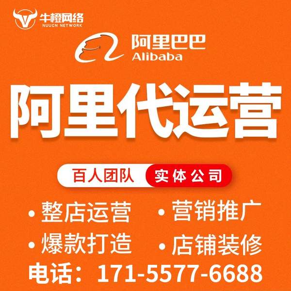 武威电商代运营