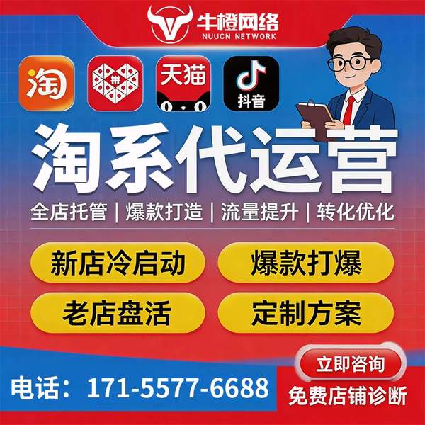 武威电商代运营