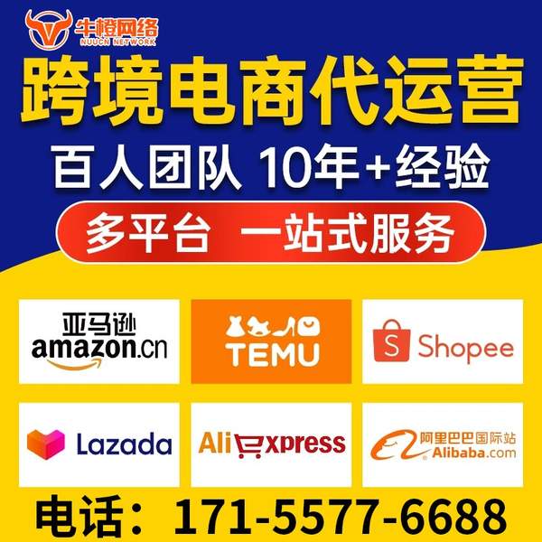 武威电商代运营