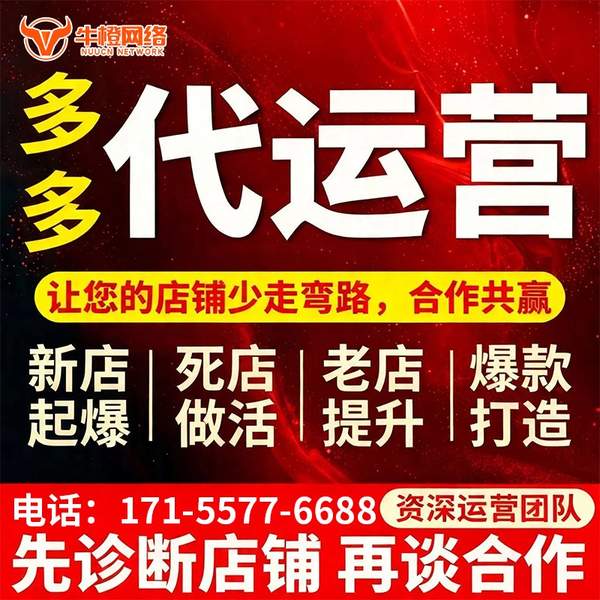 武威电商代运营
