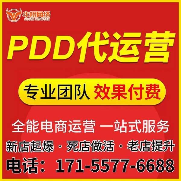 武威电商代运营