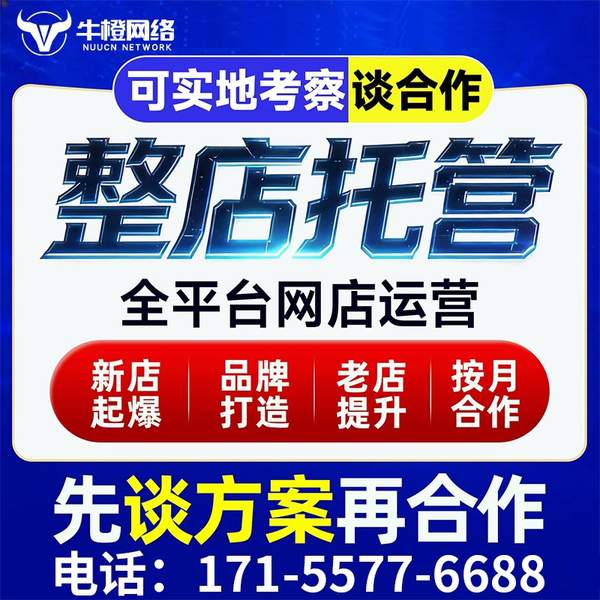 武威电商代运营