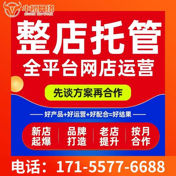 武威电商代运营