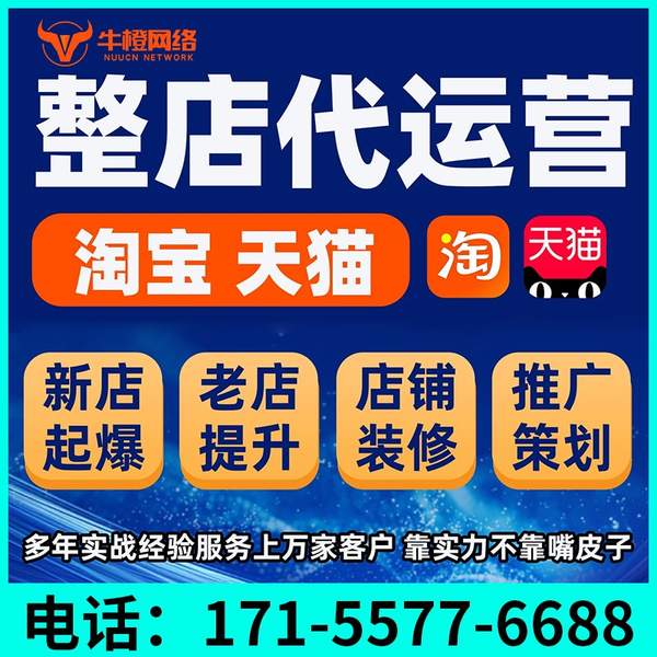 武威电商代运营
