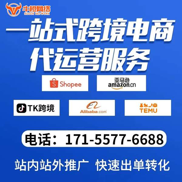 武威电商代运营