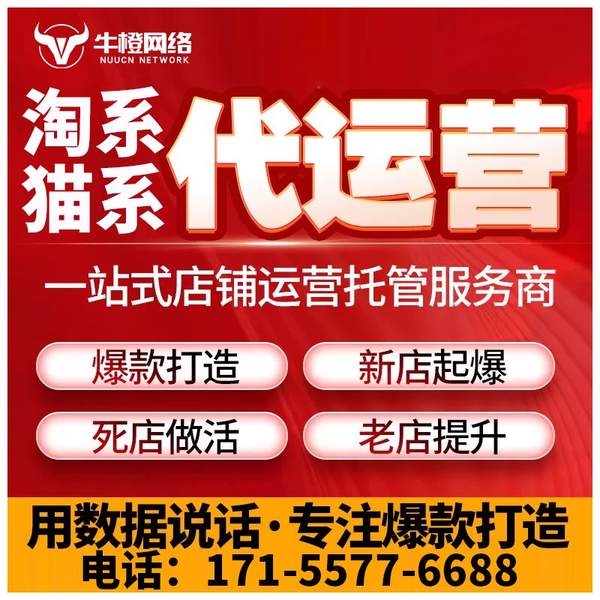 武威电商代运营